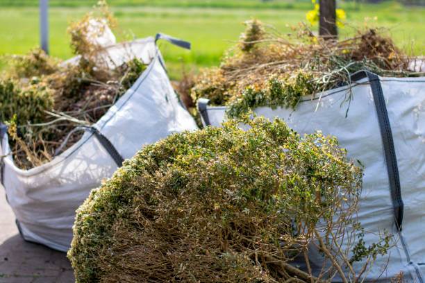 Best Affordable Junk Removal Services  in Windom, MN