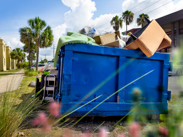 Best Office Junk Removal  in Windom, MN